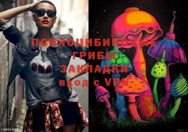 PSILOCYBIN Алексеевка