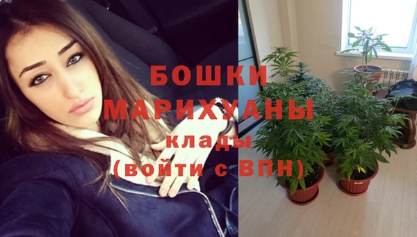 PSILOCYBIN Алексеевка